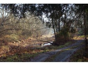 337 Gammon Road Kingsport, TN 37663 - Photo 3 of 7 Photo 3