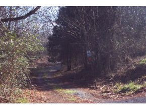 337 Gammon Road Kingsport, TN 37663 - Photo 5 of 7 Photo 5