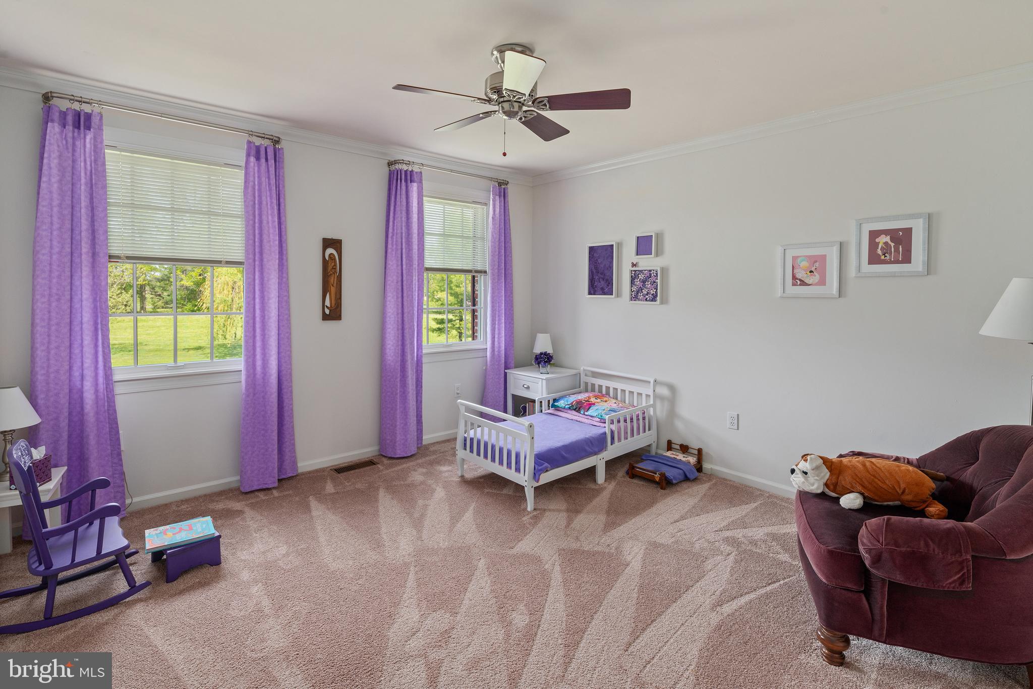 5972 Stump Road Pipersville, PA 18947 - Photo 21 of 28 Gallery Image 21