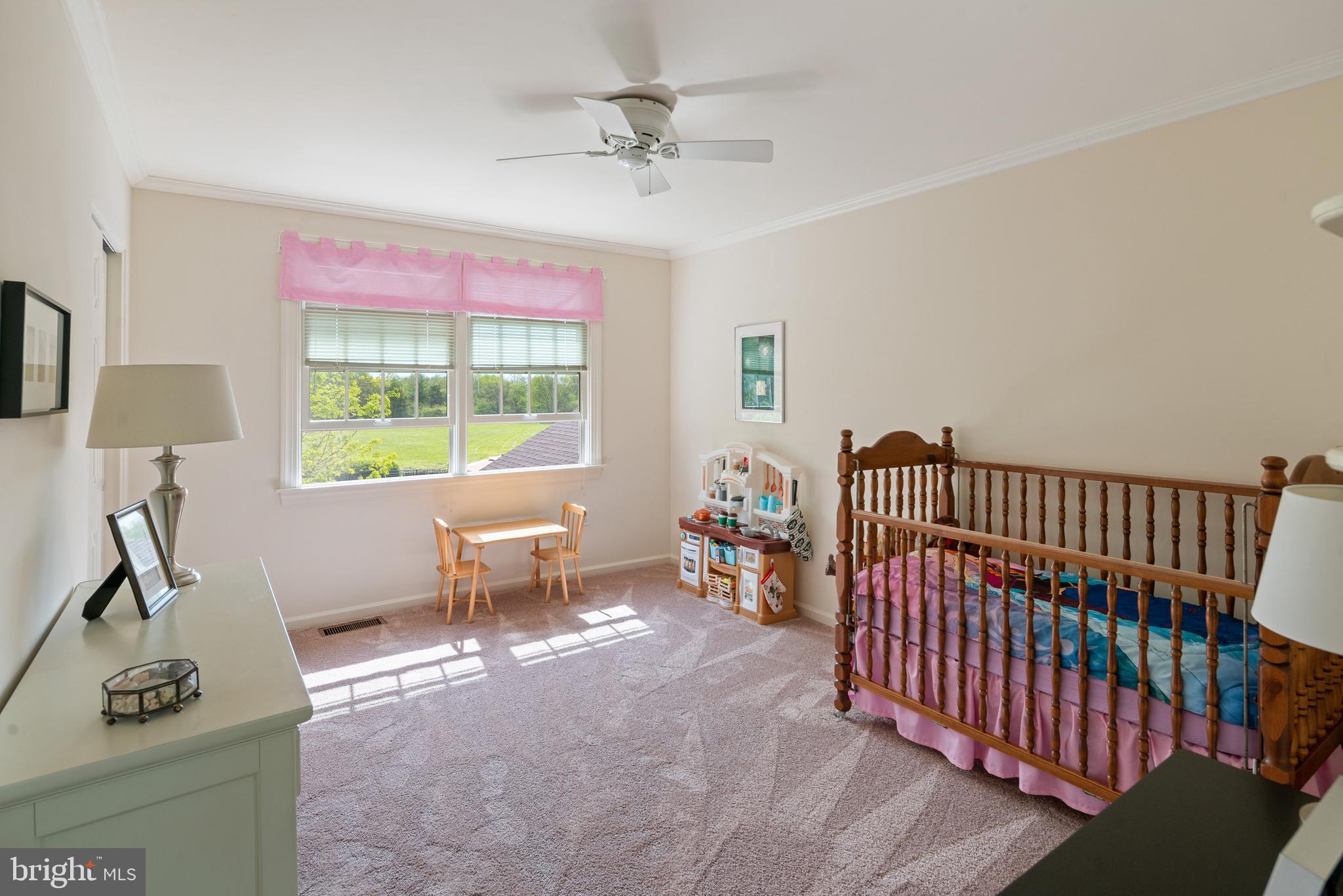5972 Stump Road Pipersville, PA 18947 - Photo 22 of 28 Gallery Image 22