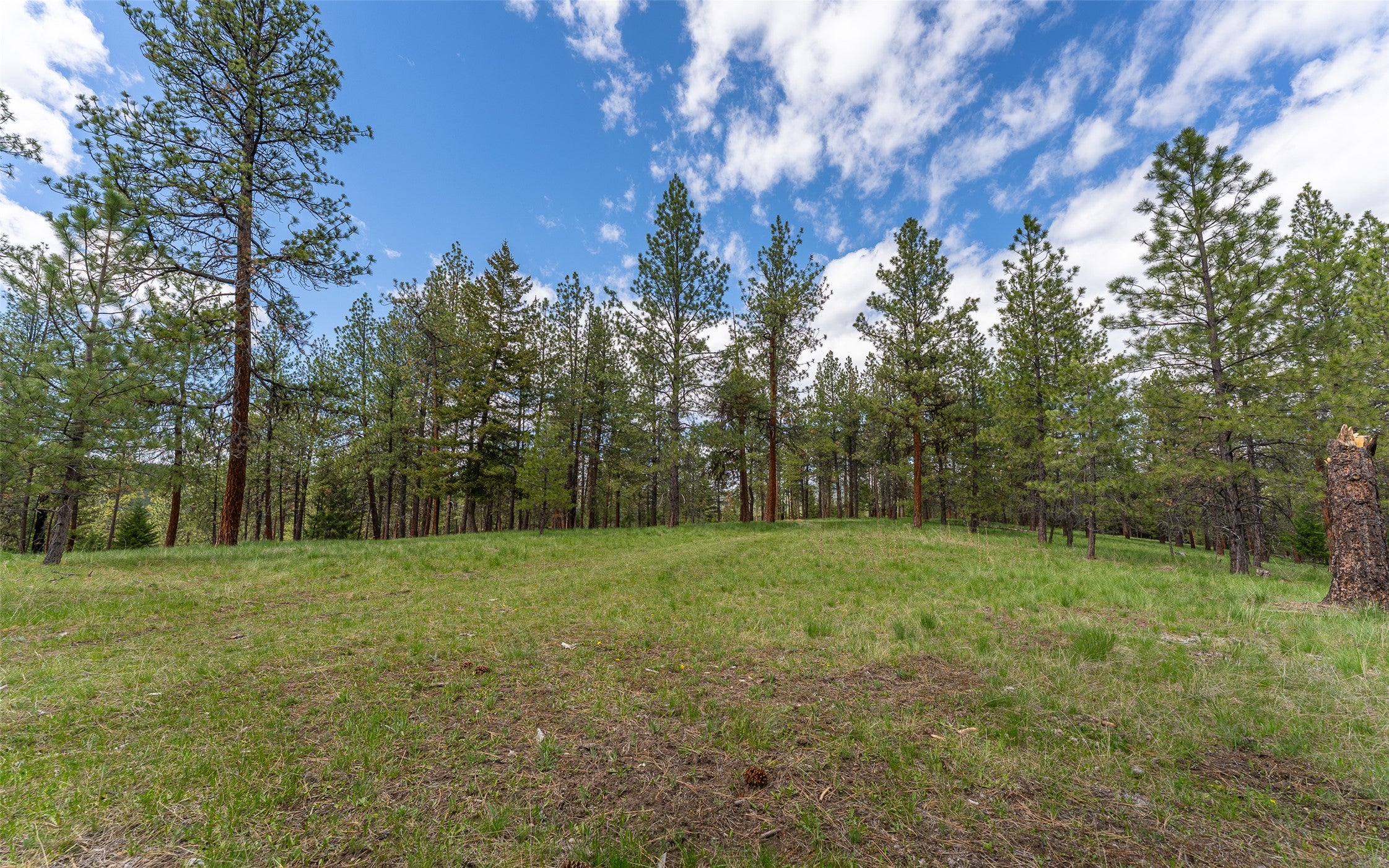 3185 Hubbart Dam Road Marion, MT 59925 - Photo 27 of 105 Gallery Image 27