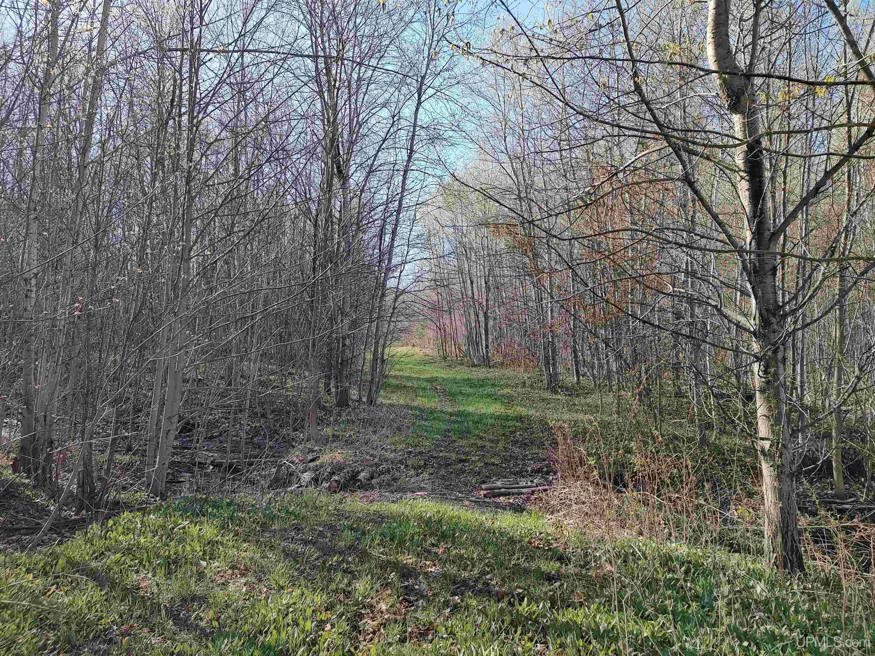 Tbd Tbd Schooner Road Ontonagon, MI 49953 - Photo 20 of 44