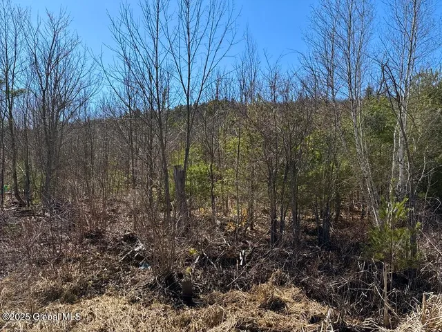 $10,000 | L37.100 Moss Road, Lewis, NY 12950