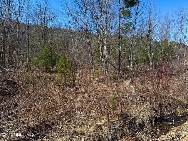 $10,000 | L37.100 Moss Road, Lewis, NY 12950