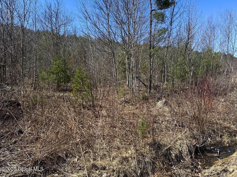 L37.100 Moss Road Lewis, NY 12950 - Photo 2 of 6 Road View