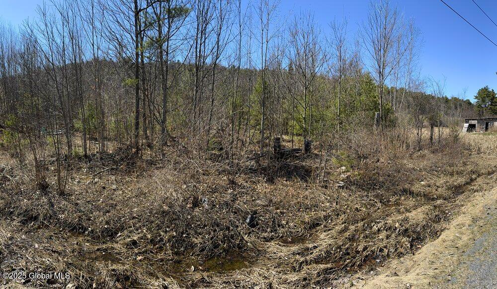 L37.100 Moss Road Lewis, NY 12950 - Photo 3 of 6 Road View