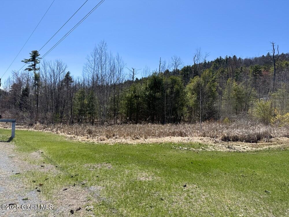 L37.100 Moss Road Lewis, NY 12950 - Photo 4 of 6 Road View