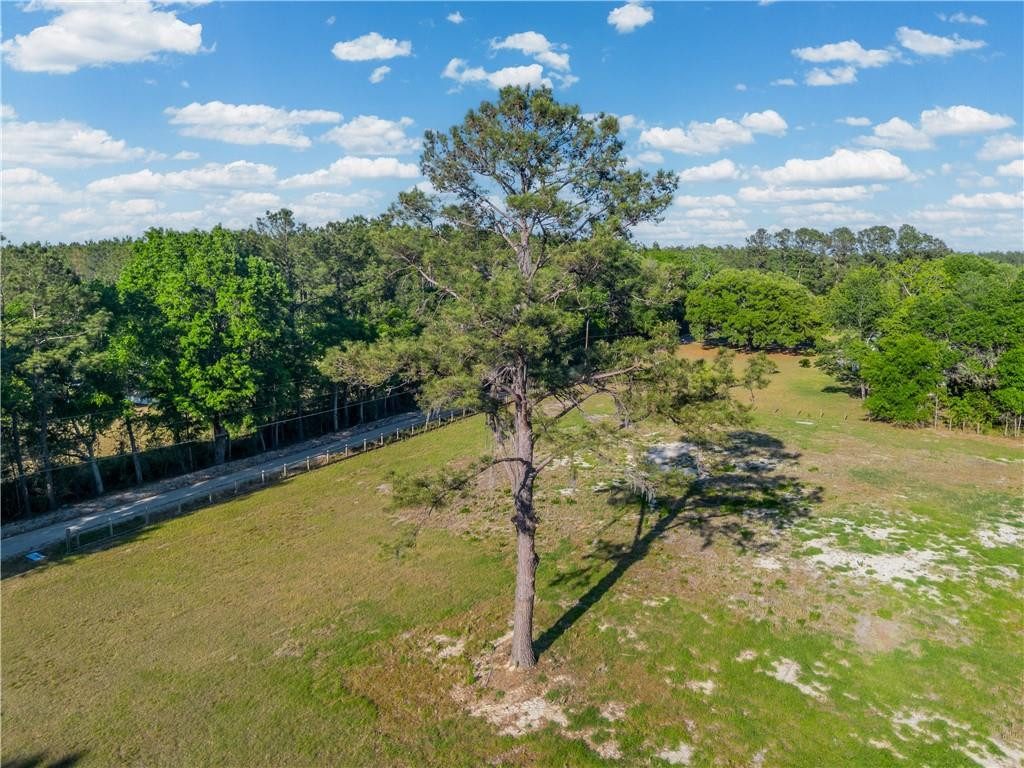 264 Williams Loop Waycross, GA 31503 - Photo 6 of 33