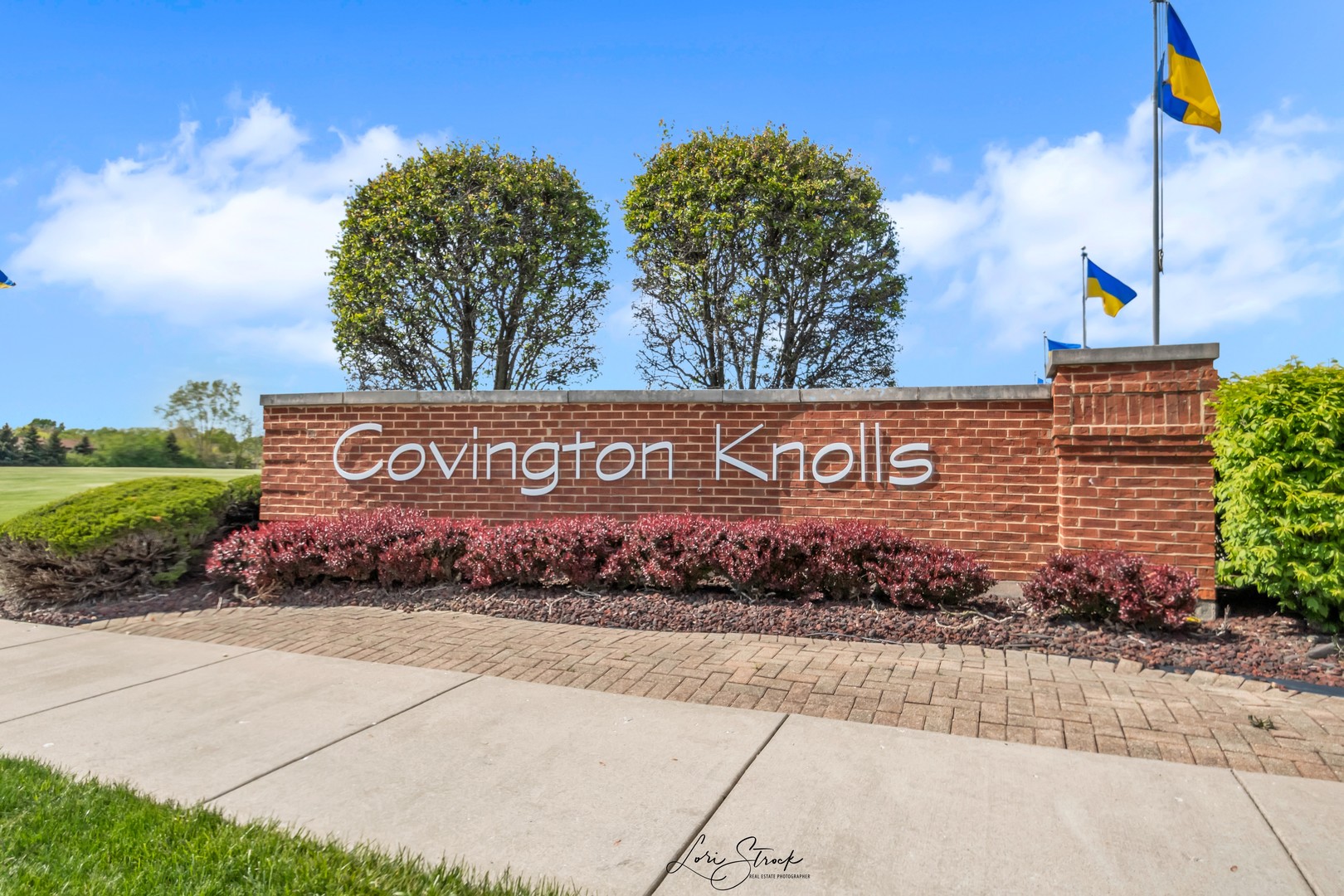 1241 Covington Drive Lemont, IL 60439 - Photo 32 of 33