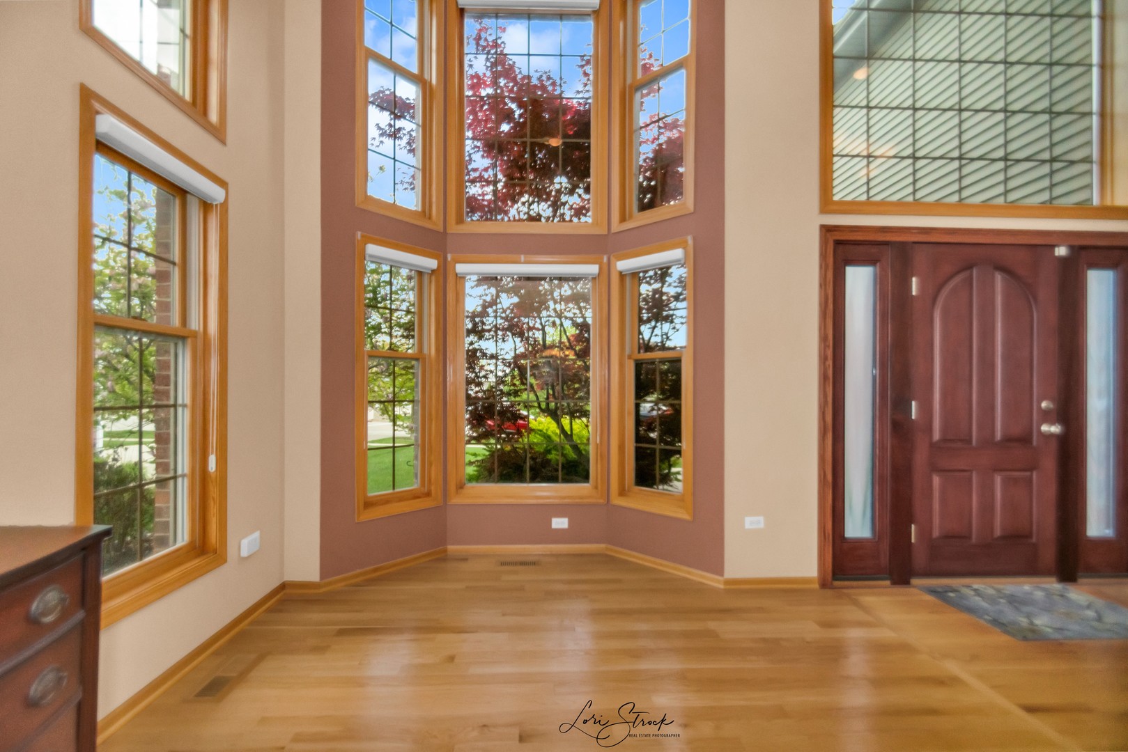 1241 Covington Drive Lemont, IL 60439 - Photo 9 of 33