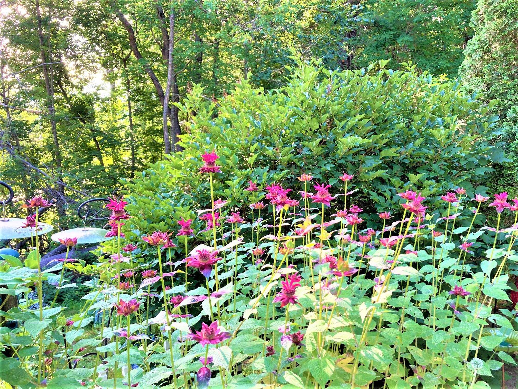 19 Hope Road Henniker, NH 03242 - Photo 15 of 40