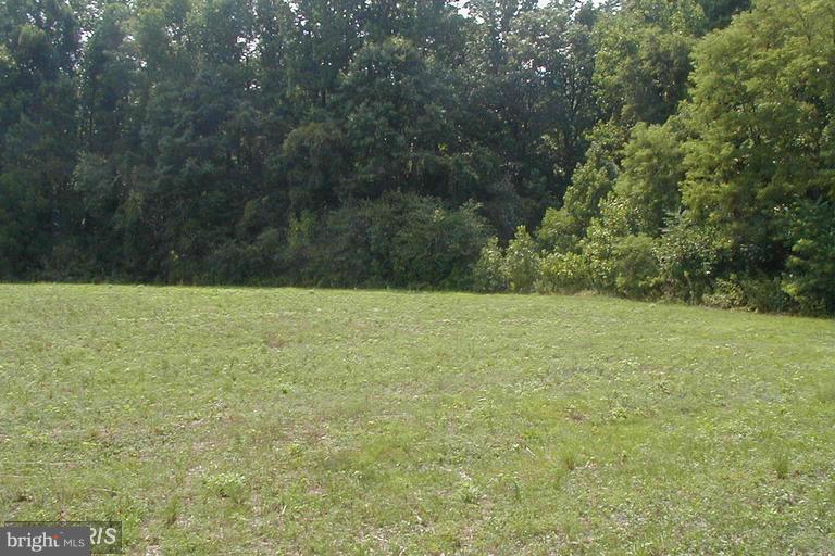 16901 Nottingham Road Upper Marlboro, MD 20772 - Photo 6 of 6 Exterior (General)
