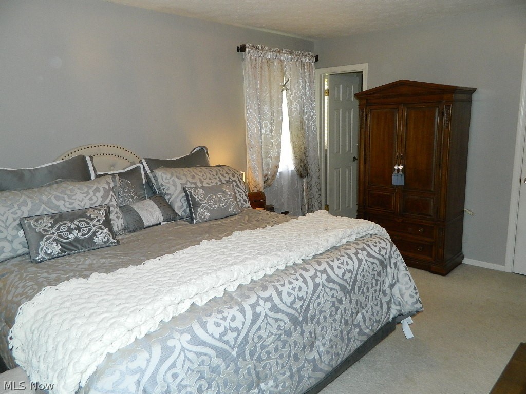 11735 Sperry Road Chesterland, OH 44026 - Photo 20 of 35 Additional Owner's Suite View