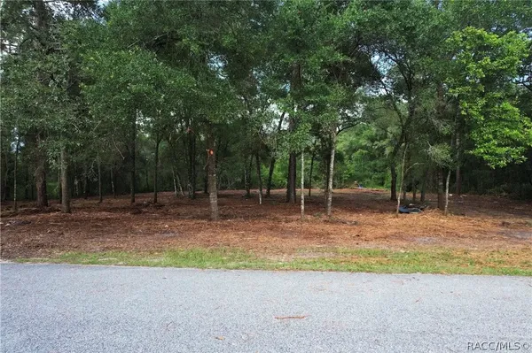 a view of a backyard with large trees
