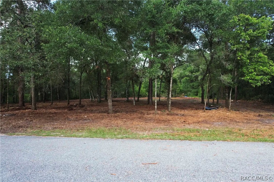 6777 North Castlebury Road Hernando, FL 34442 - Photo 3 of 8