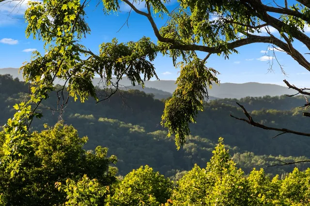 a house view with a backyard space