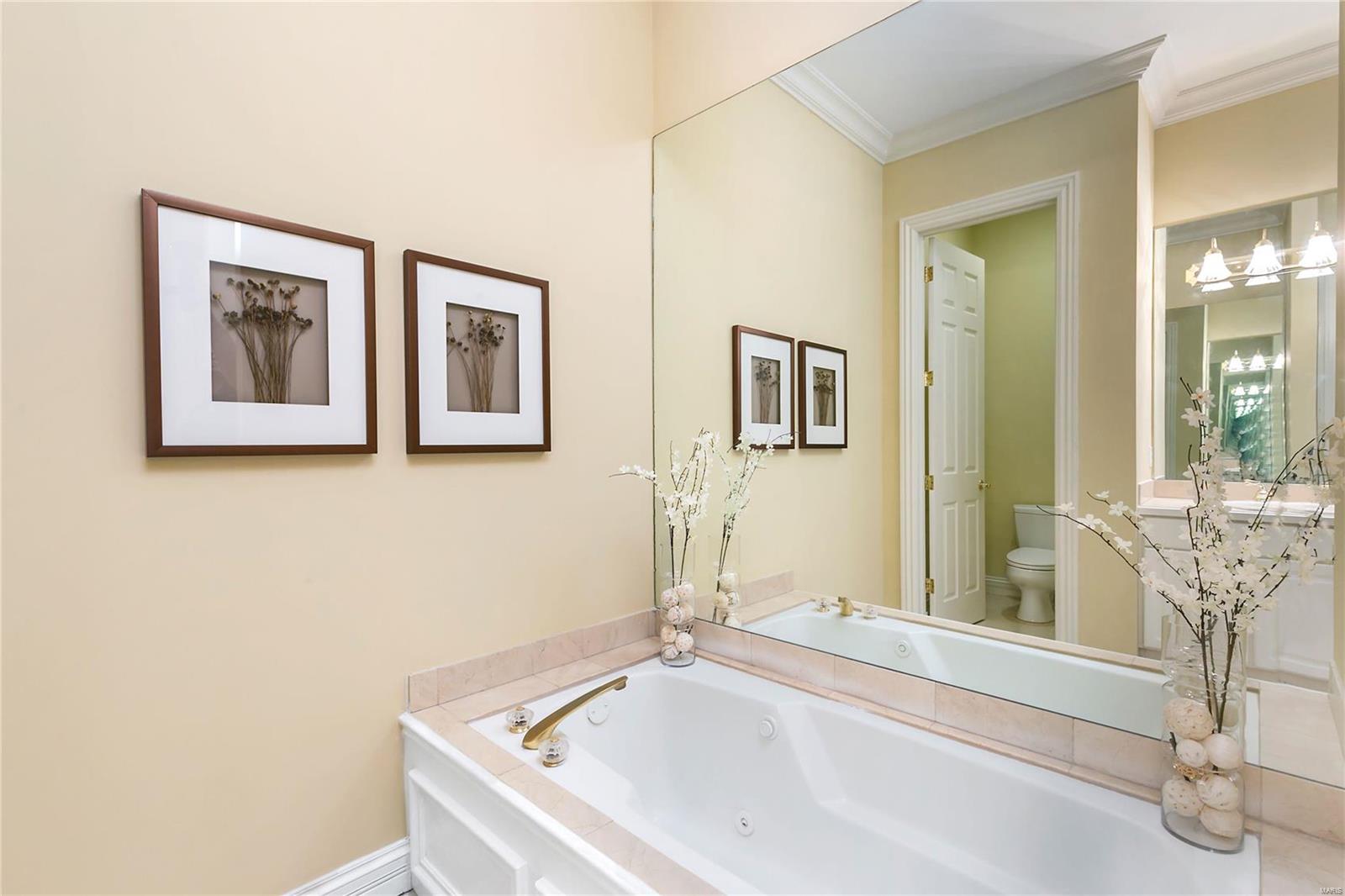9033 Clayton Road Ladue, MO 63124 - Photo 17 of 31 Gallery Image 17