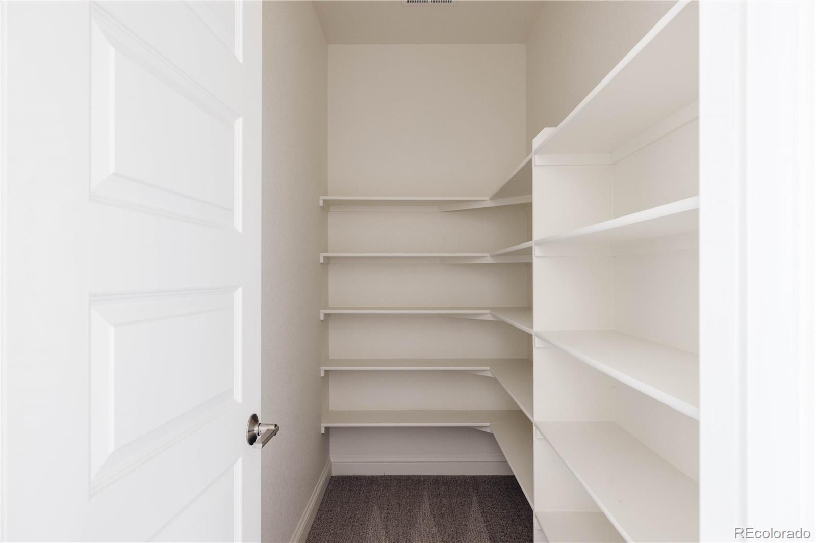 3966 Breakcamp Court Castle Rock, CO 80108 - Photo 40 of 46 a view of a room with shelf