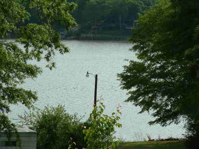 Lot 100 Waterloo Waterloo, SC 29384 - Photo 2 of 4