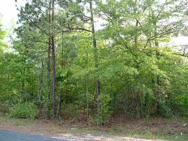 Lot 100 Waterloo Waterloo, SC 29384 - Photo 3 of 4