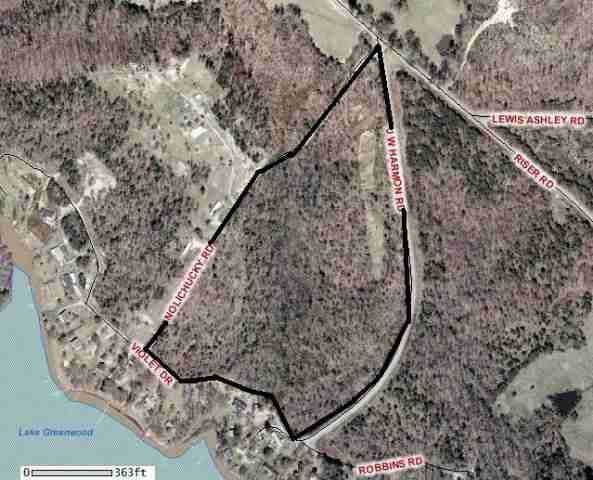Lot 100 Waterloo Waterloo, SC 29384 - Photo 4 of 4