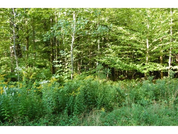 8 Johnson Farm Road Newbury, NH 03255 - Photo 1 of 1