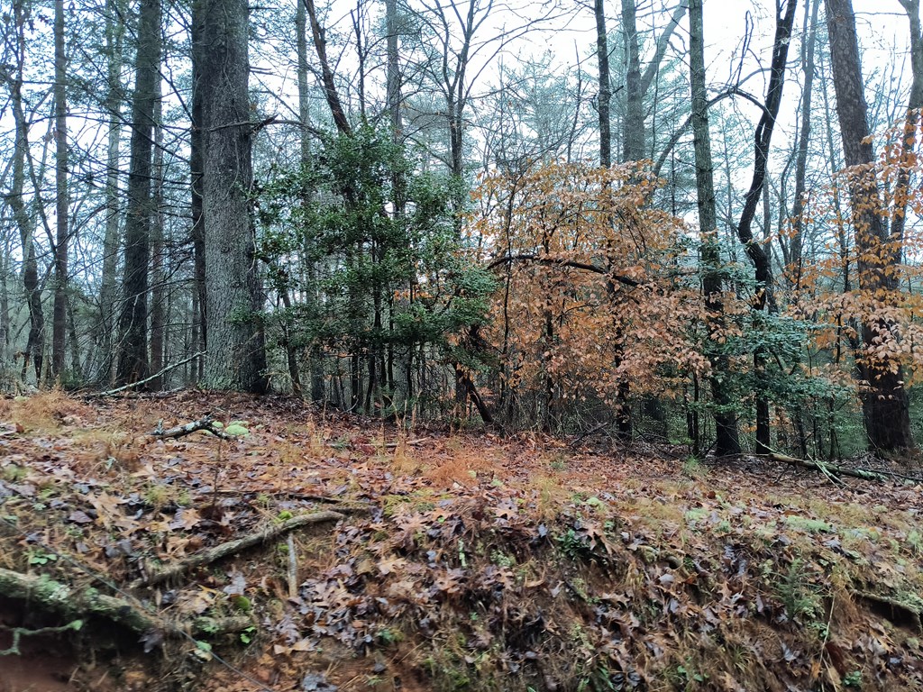 Lot 39 Kells Ridge Drive Ellijay, GA 30540 - Photo 10 of 10 Gallery Image 10