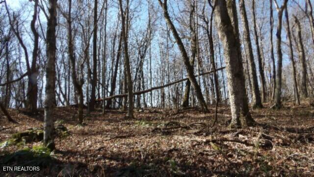 159.23-ac Stephens Road Jamestown, TN 38556 - Photo 29 of 58 100_0029