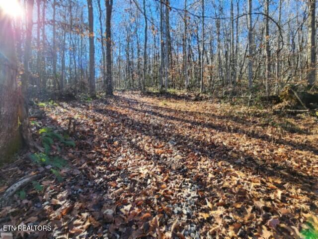 159.23-ac Stephens Road Jamestown, TN 38556 - Photo 47 of 58 20241212_104732