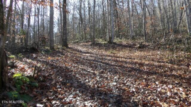 159.23-ac Stephens Road Jamestown, TN 38556 - Photo 8 of 58 100_0007