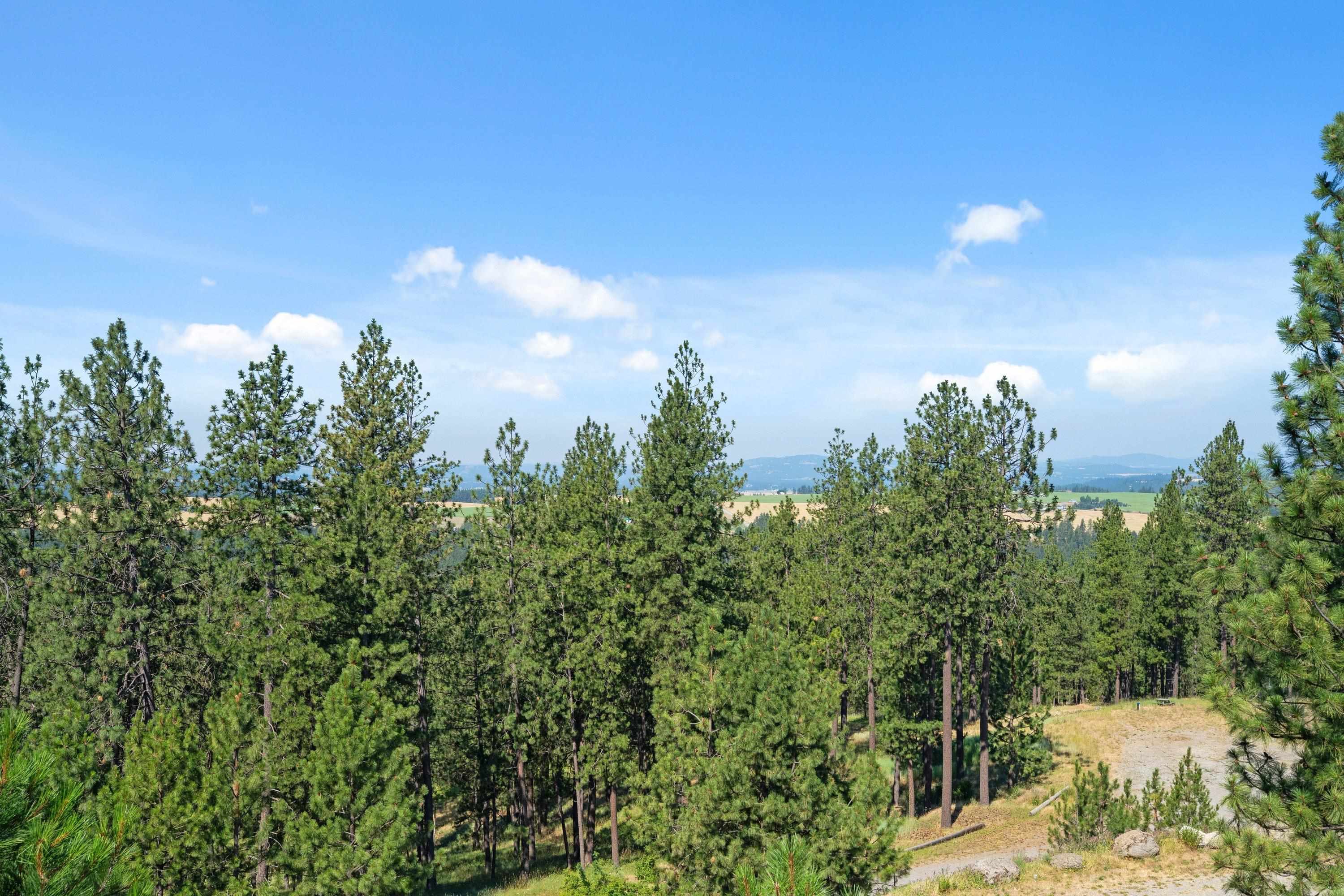 16315 East Temple Road Spokane, WA 99217 - Photo 33 of 49