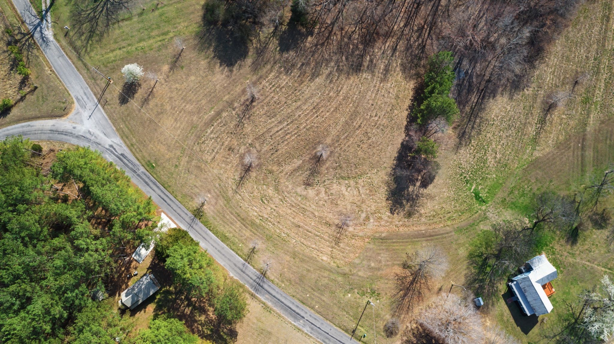 77 Warren Hollow Road Five Points, TN 38457 - Photo 44 of 45
