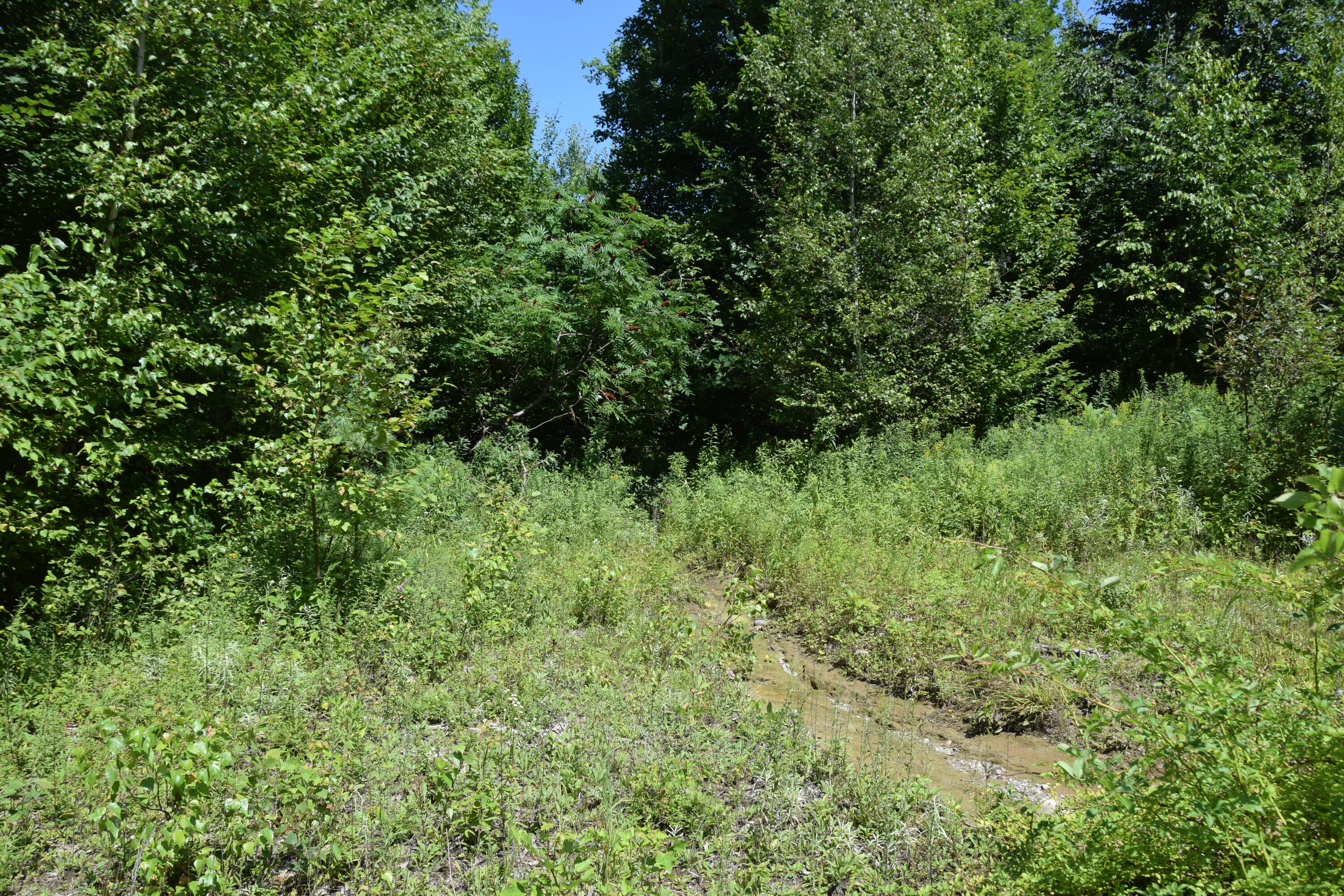 M9-l2 River Road Madison, ME 04950 - Photo 3 of 24 DSC_0002