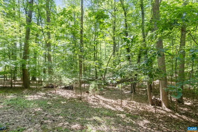 a backyard of a house with lots of green space and lake view