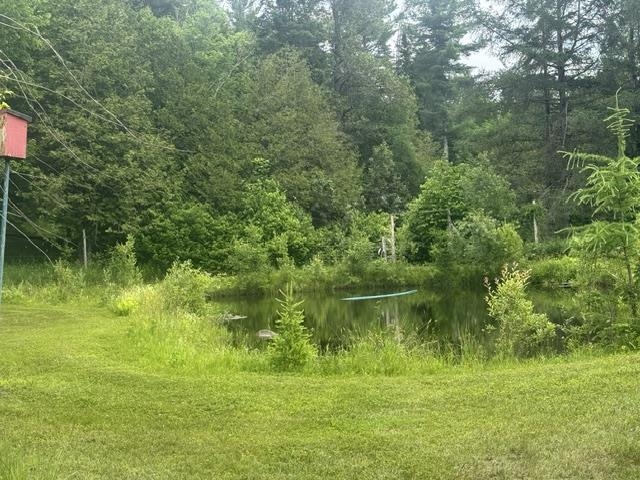 629 South Craftsbury Road Craftsbury, VT 05826 - Photo 42 of 54