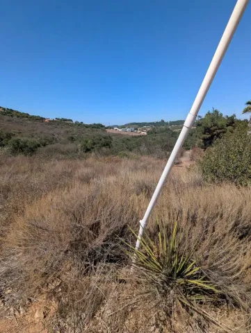 a view of a dry yard with wooden fence and floor