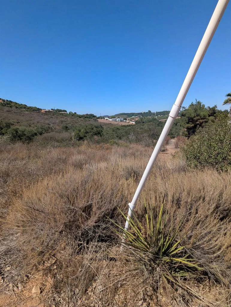 a view of a dry yard with wooden fence and floor