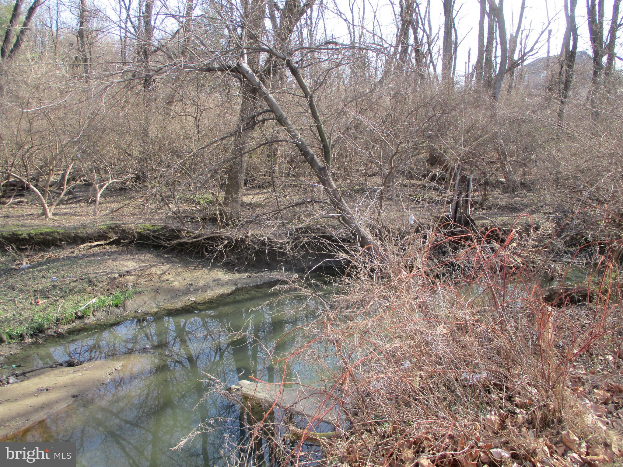 9763 Krewstown Road Philadelphia, PA 19115 - Photo 11 of 43 Paul's Run Creek