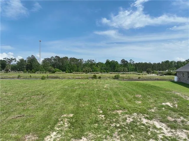 $79,500 | 21416 Yellow Fin Drive, Springfield, LA 70462