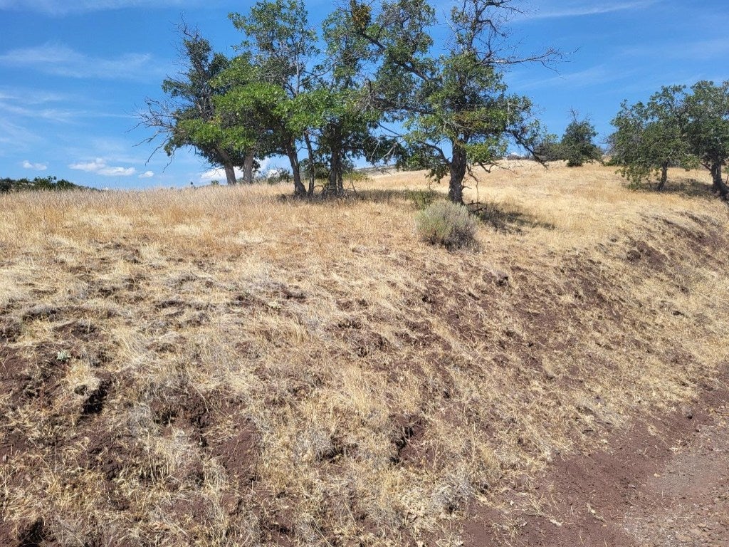 Lot 184 Iron Gate Road Hornbrook, CA 96044 - Photo 2 of 6 Gallery Image 2