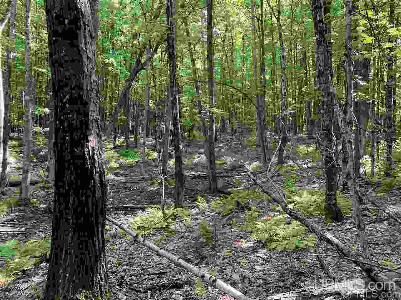88-89 Blue Road Pelkie, MI 49958 - Photo 10 of 15