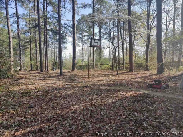 6245 Cliffdale Road Fayetteville, NC 28314 - Photo 8 of 11 a view of outdoor space with trees