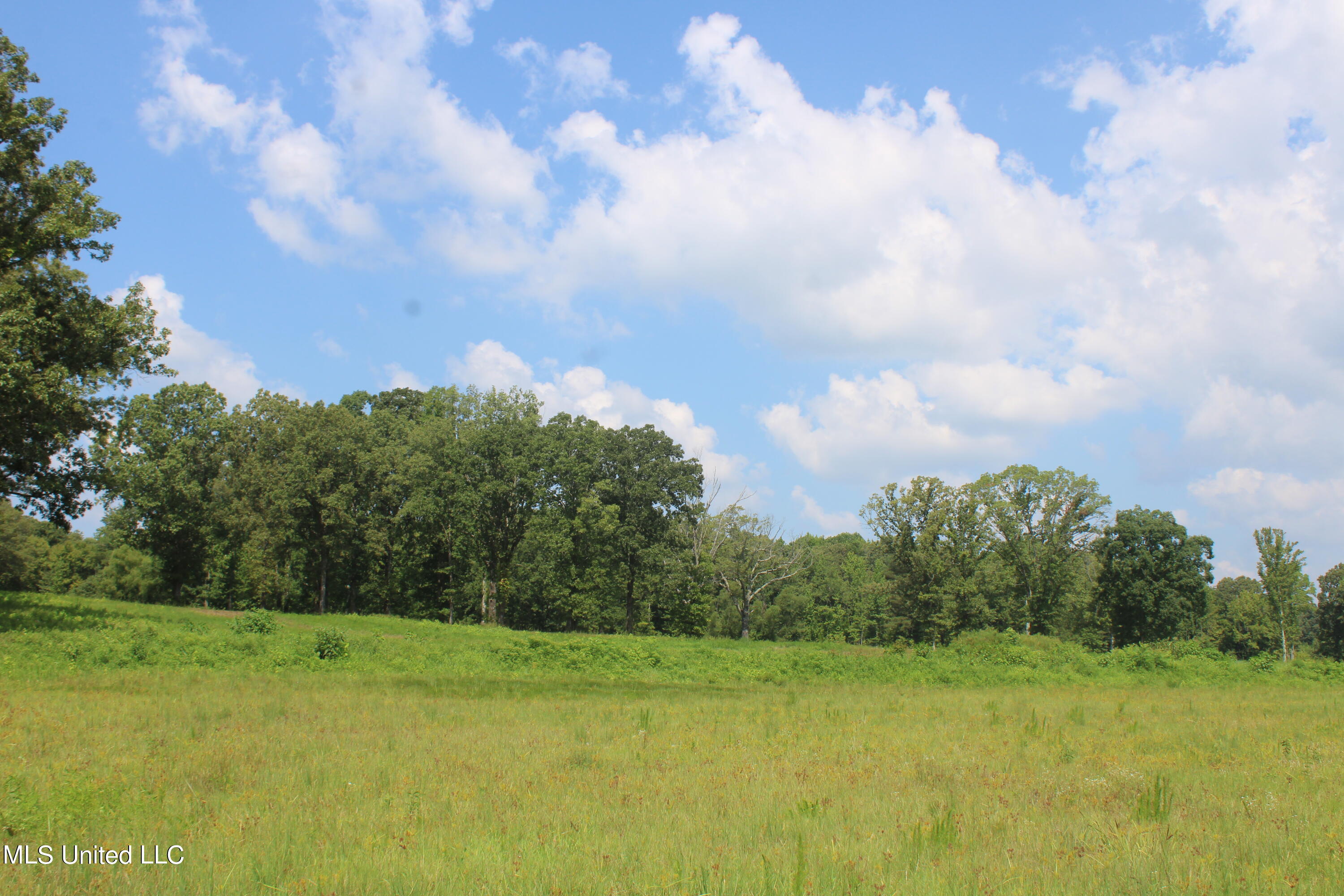 14991 Fairview Road Byhalia, MS 38611 - Photo 15 of 26 IMG_4315