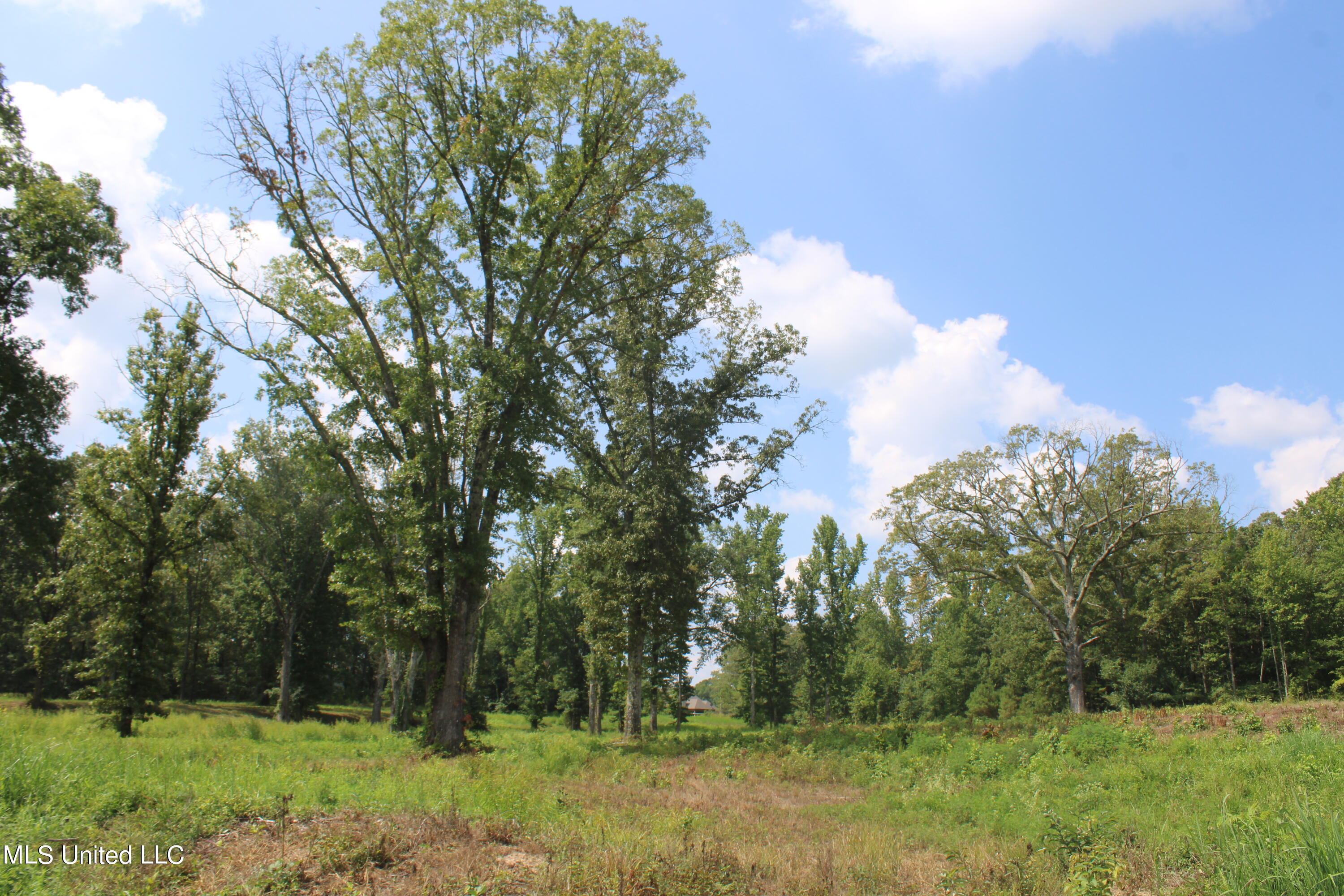 14991 Fairview Road Byhalia, MS 38611 - Photo 17 of 26 IMG_4317