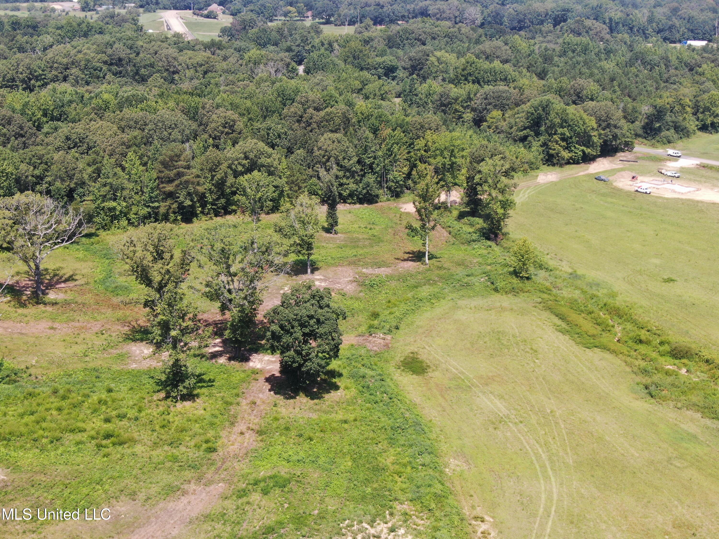 14991 Fairview Road Byhalia, MS 38611 - Photo 3 of 26 18 acres Fairview 3