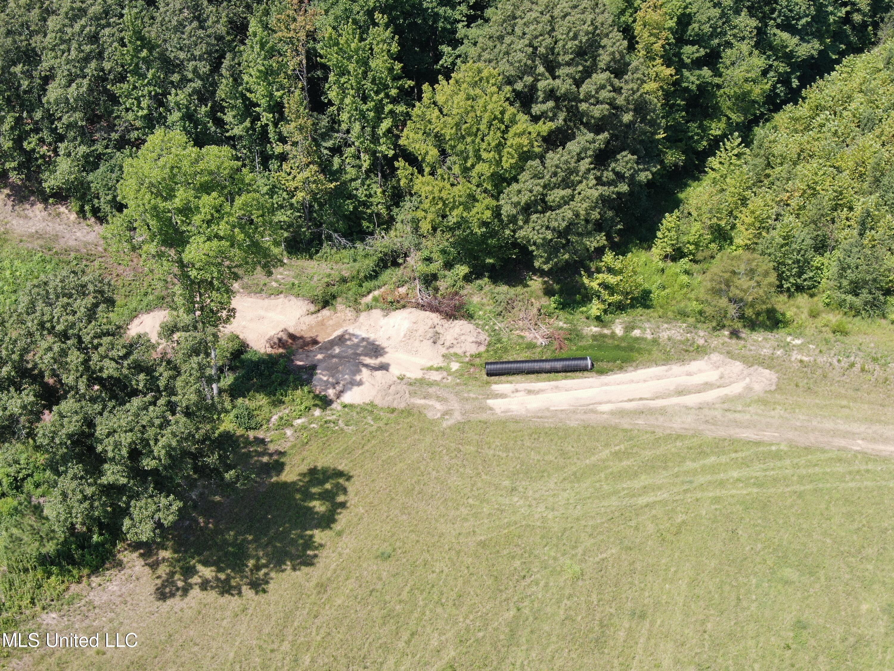 14991 Fairview Road Byhalia, MS 38611 - Photo 5 of 26 18 acres Fairview 6