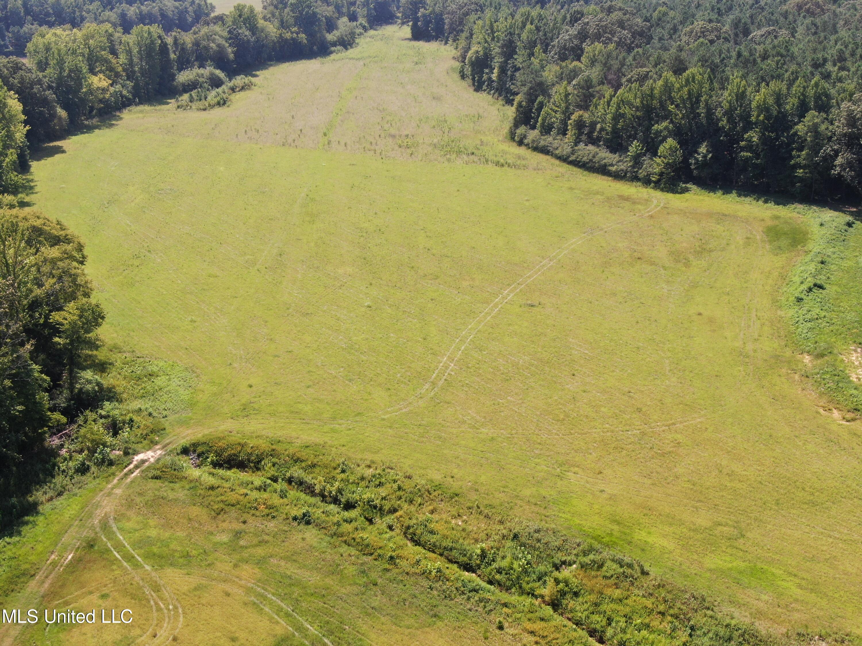 14991 Fairview Road Byhalia, MS 38611 - Photo 7 of 26 18 acres Fairview 8