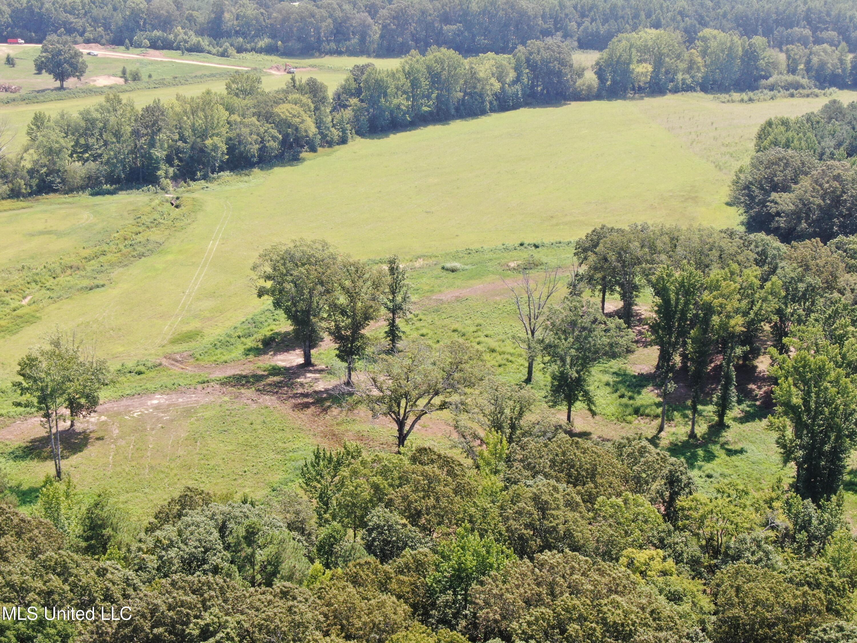14991 Fairview Road Byhalia, MS 38611 - Photo 9 of 26 18 acres Fairview 10