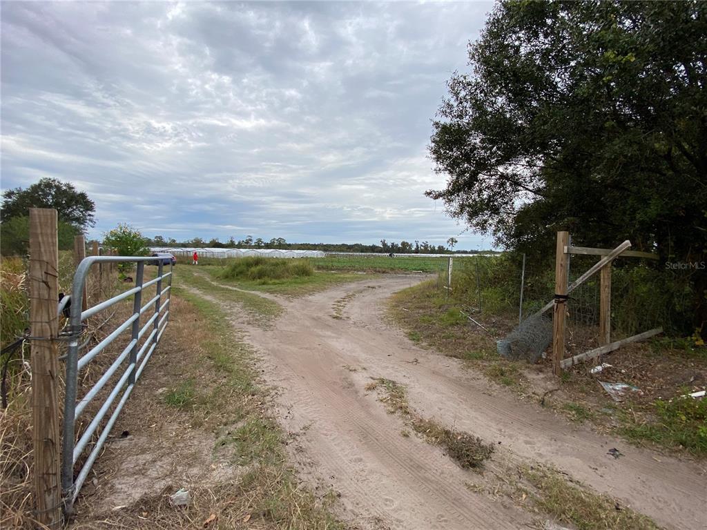 0 No Address Wimauma, FL 33598 - Photo 1 of 1 a view of a lake with a big yard and potted plants