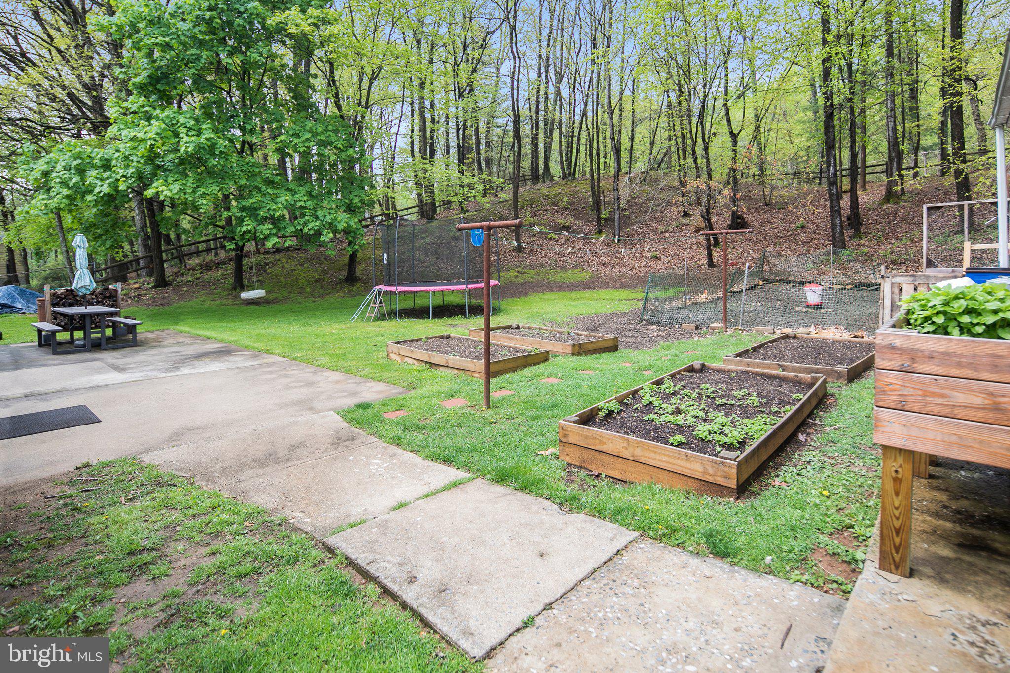 10314 Putman Road Frederick, MD 21702 - Photo 25 of 28 Rear Yard w/ Gardens
